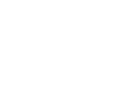 B3